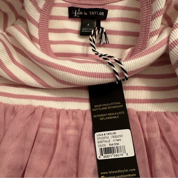 NWT Lola & Taylor Blush Stripe Parker Dress - Picture 4 of 5